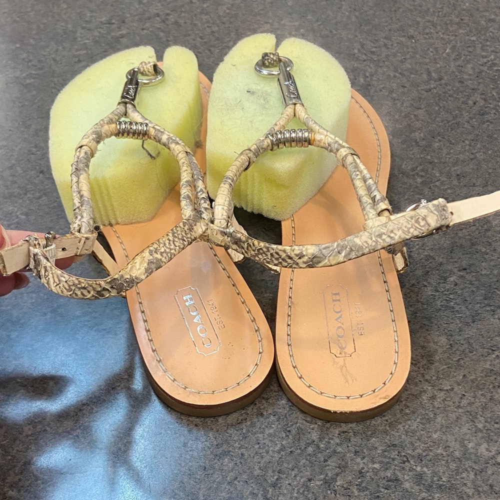Coach Beige Python Print Sandals - image 4